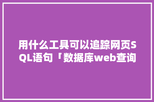 用什么工具可以追踪网页SQL语句「数据库web查询系统」