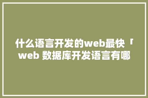 什么语言开发的web最快「web 数据库开发语言有哪些」