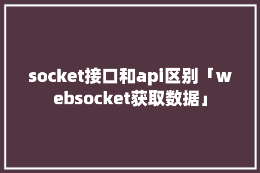 socket接口和api区别「websocket获取数据」 建站教程