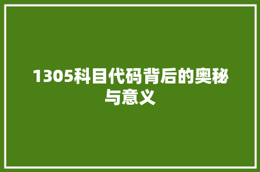 1305科目代码背后的奥秘与意义 建站教程