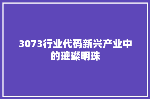 3073行业代码新兴产业中的璀璨明珠