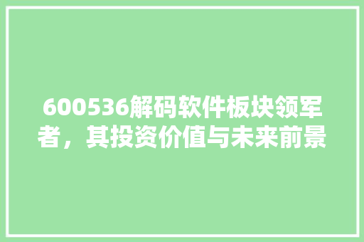 600536解码软件板块领军者，其投资价值与未来前景