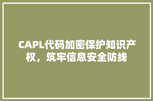 CAPL代码加密保护知识产权，筑牢信息安全防线 Web前端