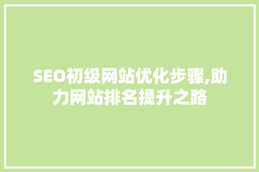 SEO初级网站优化步骤,助力网站排名提升之路