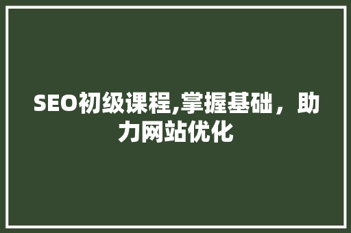 SEO初级课程,掌握基础，助力网站优化