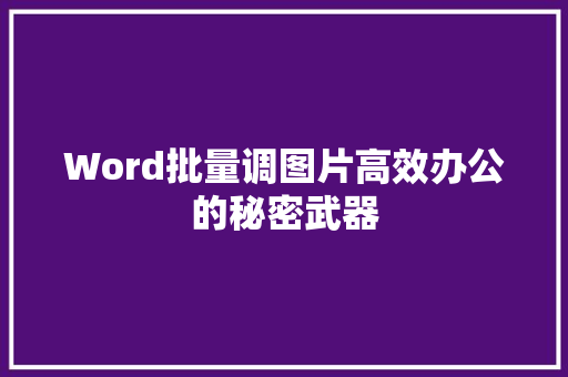 Word批量调图片高效办公的秘密武器