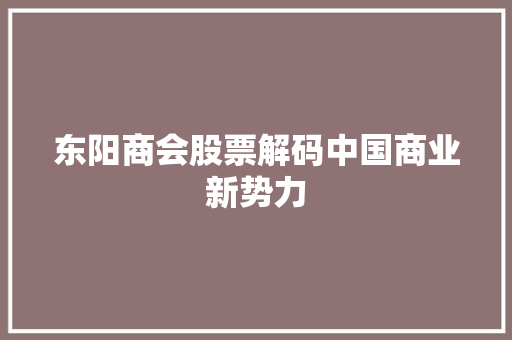 东阳商会股票解码中国商业新势力 WordPress教程