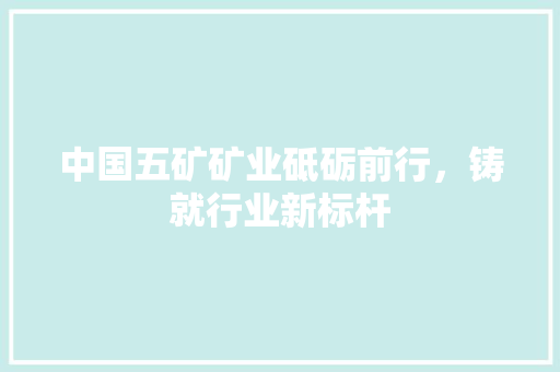 中国五矿矿业砥砺前行，铸就行业新标杆 服务器/数据库
