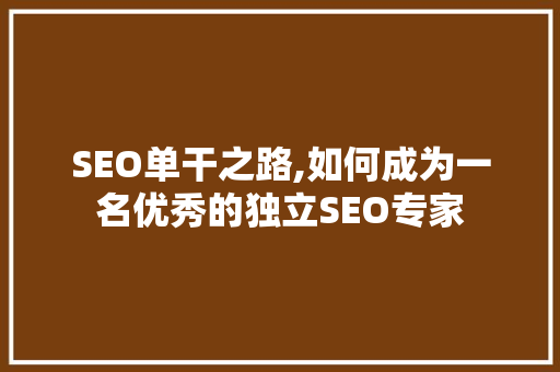 SEO单干之路,如何成为一名优秀的独立SEO专家 SEO单干之路,如何成为一名优秀的独立SEO专家 Web前端