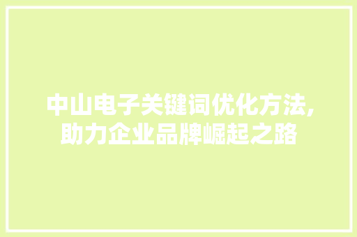 中山电子关键词优化方法,助力企业品牌崛起之路