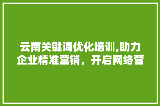 云南关键词优化培训,助力企业精准营销，开启网络营销新篇章
