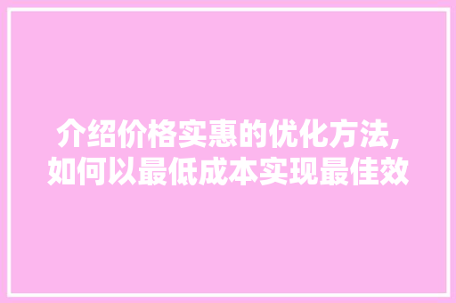介绍价格实惠的优化方法,如何以最低成本实现最佳效果