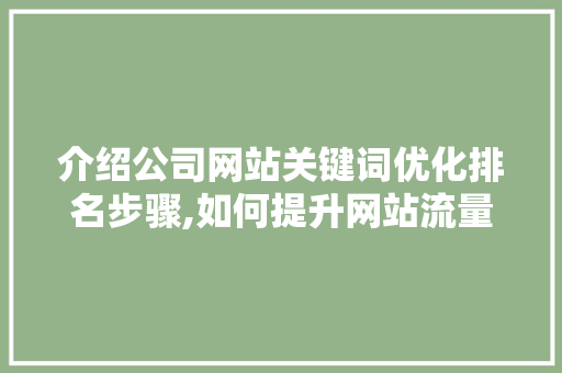 介绍公司网站关键词优化排名步骤,如何提升网站流量与品牌影响力