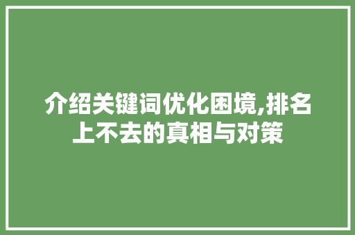 介绍关键词优化困境,排名上不去的真相与对策