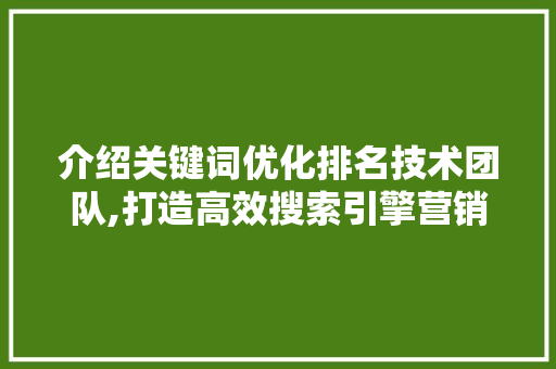 介绍关键词优化排名技术团队,打造高效搜索引擎营销之路