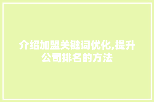 介绍加盟关键词优化,提升公司排名的方法