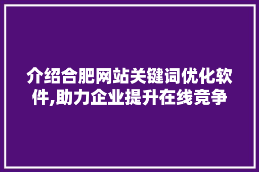 介绍合肥网站关键词优化软件,助力企业提升在线竞争力