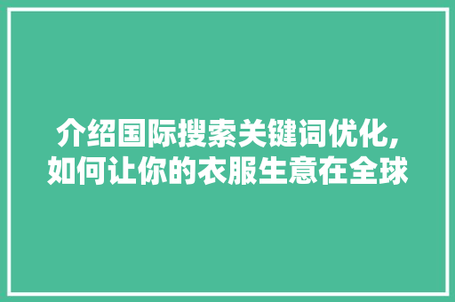 介绍国际搜索关键词优化,如何让你的衣服生意在全球市场大放异彩