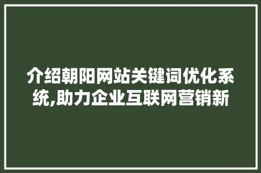 介绍朝阳网站关键词优化系统,助力企业互联网营销新突破