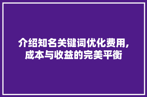 介绍知名关键词优化费用,成本与收益的完美平衡