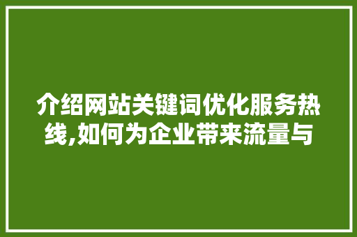 介绍网站关键词优化服务热线,如何为企业带来流量与转化