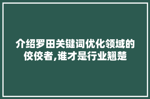 介绍罗田关键词优化领域的佼佼者,谁才是行业翘楚
