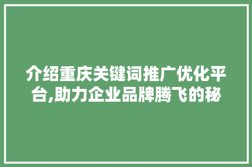 介绍重庆关键词推广优化平台,助力企业品牌腾飞的秘密武器