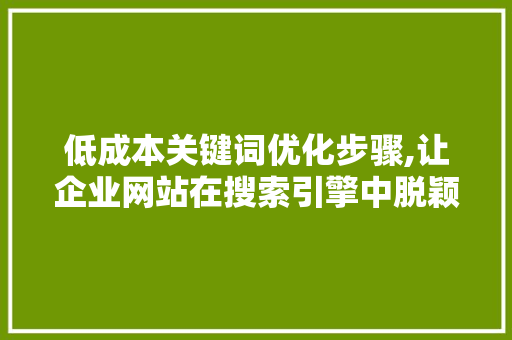 低成本关键词优化步骤,让企业网站在搜索引擎中脱颖而出