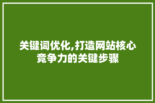 关键词优化,打造网站核心竞争力的关键步骤