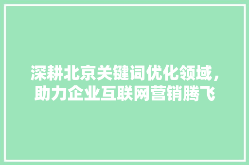 深耕北京关键词优化领域，助力企业互联网营销腾飞