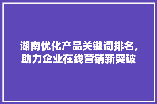 湖南优化产品关键词排名,助力企业在线营销新突破