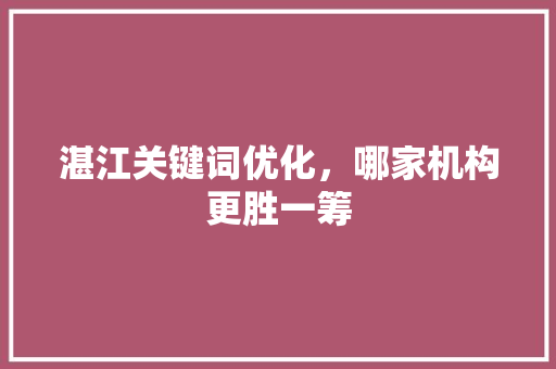湛江关键词优化，哪家机构更胜一筹