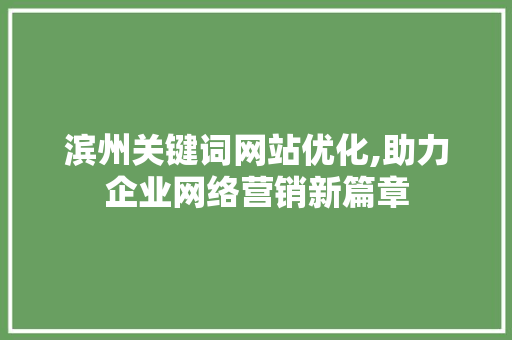 滨州关键词网站优化,助力企业网络营销新篇章