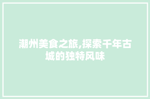 潮州美食之旅,探索千年古城的独特风味