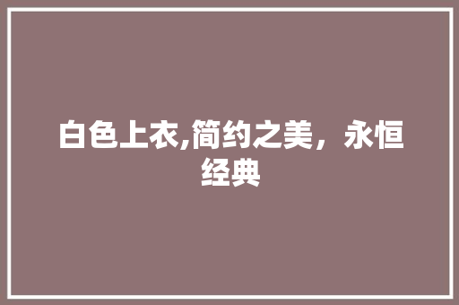 白色上衣,简约之美，永恒经典