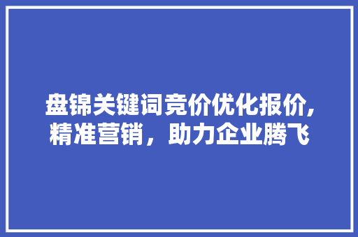 盘锦关键词竞价优化报价,精准营销，助力企业腾飞