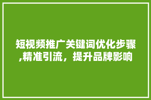 短视频推广关键词优化步骤,精准引流，提升品牌影响力