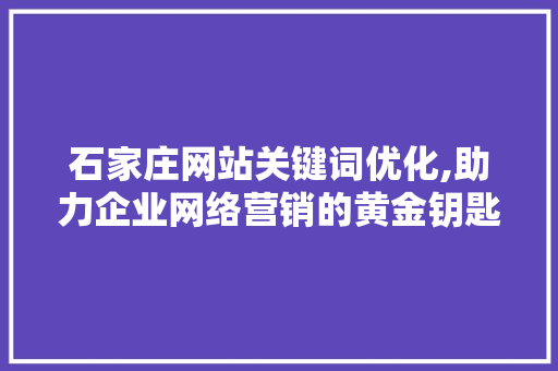 石家庄网站关键词优化,助力企业网络营销的黄金钥匙