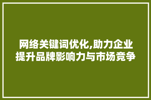 网络关键词优化,助力企业提升品牌影响力与市场竞争力