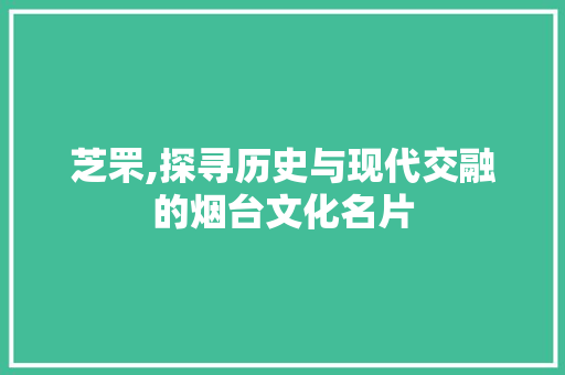 芝罘,探寻历史与现代交融的烟台文化名片