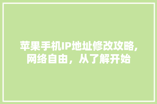 苹果手机IP地址修改攻略,网络自由，从了解开始
