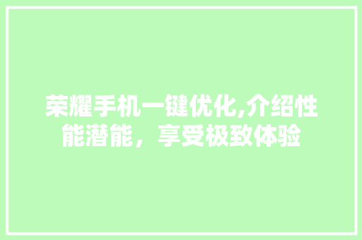 荣耀手机一键优化,介绍性能潜能，享受极致体验
