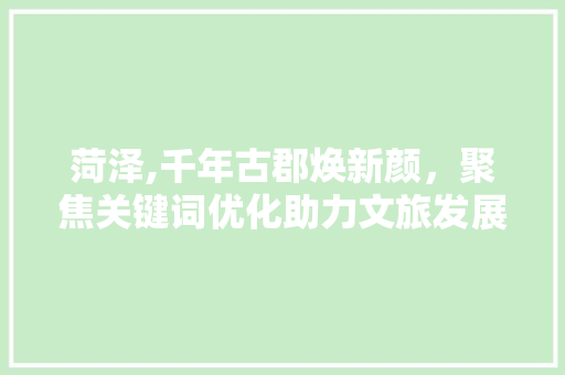 菏泽,千年古郡焕新颜，聚焦关键词优化助力文旅发展