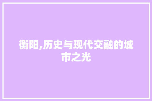 衡阳,历史与现代交融的城市之光