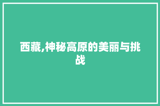 西藏,神秘高原的美丽与挑战