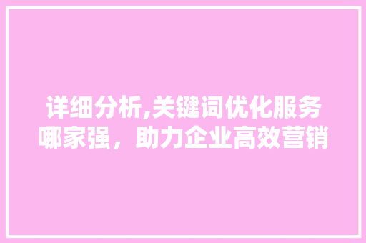 详细分析,关键词优化服务哪家强，助力企业高效营销