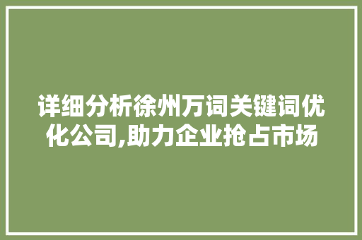 详细分析徐州万词关键词优化公司,助力企业抢占市场先机