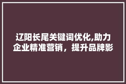 辽阳长尾关键词优化,助力企业精准营销，提升品牌影响力