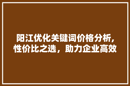 阳江优化关键词价格分析,性价比之选，助力企业高效营销 WordPress教程