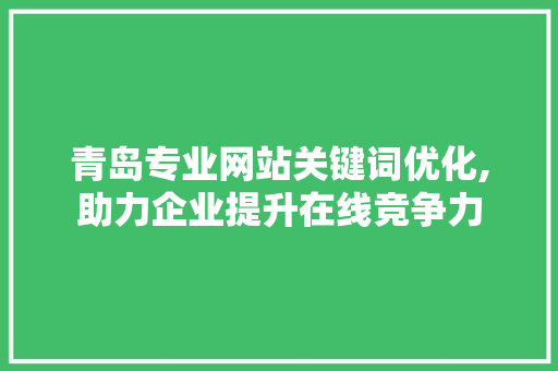 青岛专业网站关键词优化,助力企业提升在线竞争力